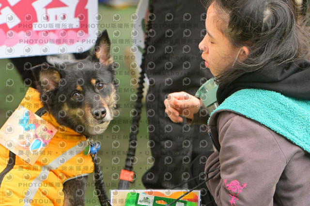 2024第六屆奔跑吧!毛小孩公益路跑