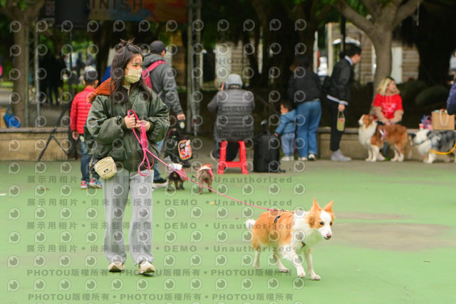 2024第六屆奔跑吧!毛小孩公益路跑