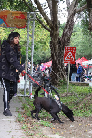 2024第六屆奔跑吧!毛小孩公益路跑