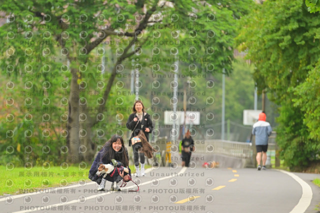 2024第六屆奔跑吧!毛小孩公益路跑