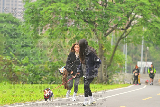 2024第六屆奔跑吧!毛小孩公益路跑