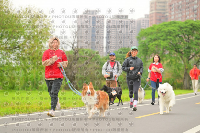 2024第六屆奔跑吧!毛小孩公益路跑