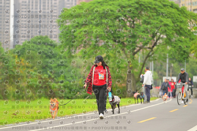 2024第六屆奔跑吧!毛小孩公益路跑