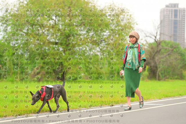 2024第六屆奔跑吧!毛小孩公益路跑