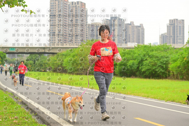 2024第六屆奔跑吧!毛小孩公益路跑