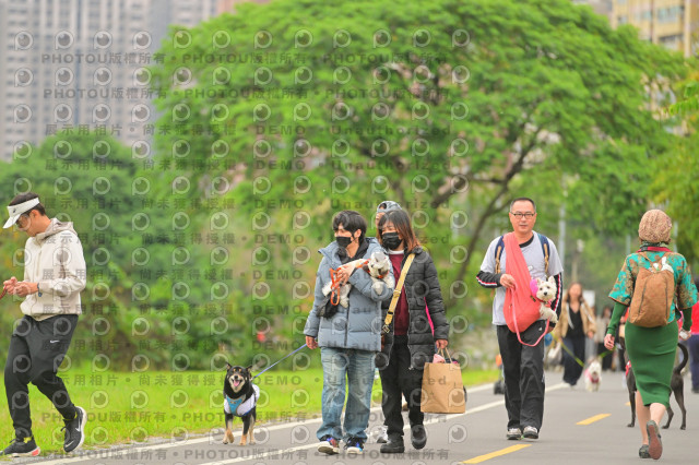 2024第六屆奔跑吧!毛小孩公益路跑