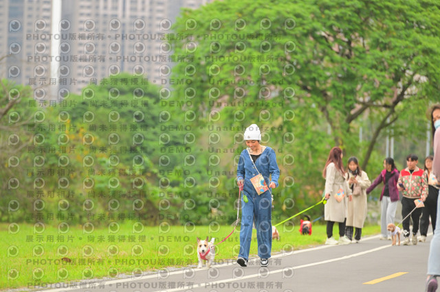 2024第六屆奔跑吧!毛小孩公益路跑