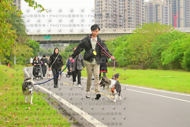 2024第六屆奔跑吧!毛小孩公益路跑