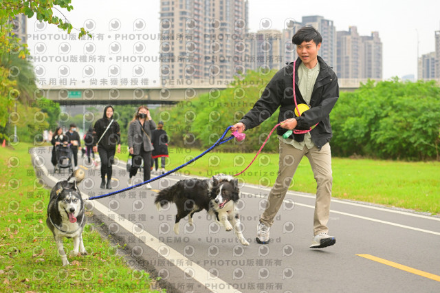 2024第六屆奔跑吧!毛小孩公益路跑