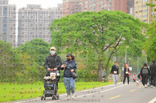 2024第六屆奔跑吧!毛小孩公益路跑