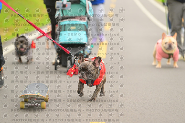 2024第六屆奔跑吧!毛小孩公益路跑