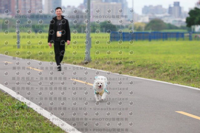 2024第六屆奔跑吧!毛小孩公益路跑