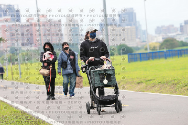 2024第六屆奔跑吧!毛小孩公益路跑