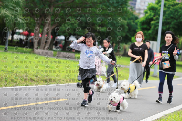 2024第六屆奔跑吧!毛小孩公益路跑