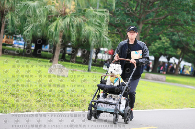 2024第六屆奔跑吧!毛小孩公益路跑