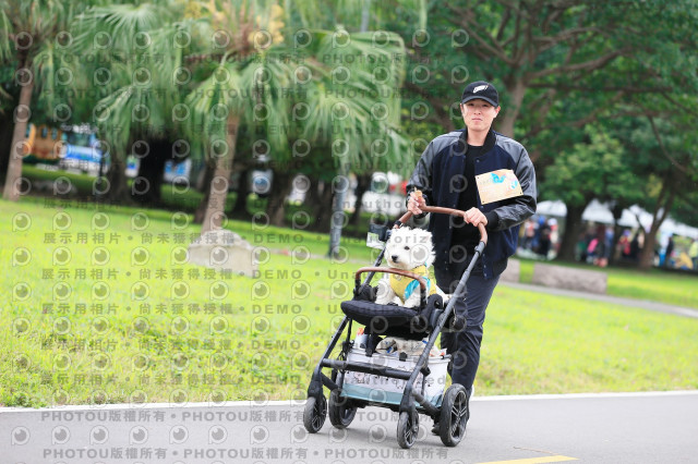 2024第六屆奔跑吧!毛小孩公益路跑