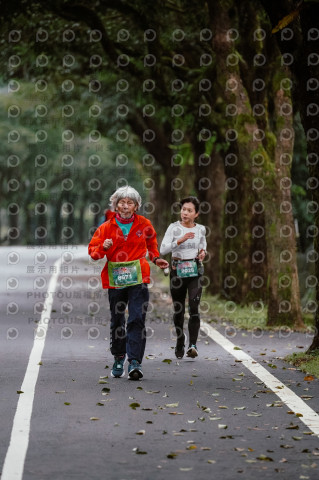 2025宜蘭櫻花溫泉系列路跑-員山燈篙/大同牛鬥