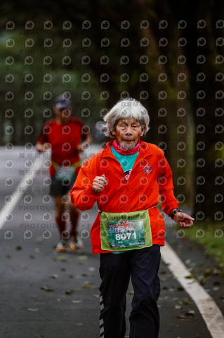 2025宜蘭櫻花溫泉系列路跑-員山燈篙/大同牛鬥