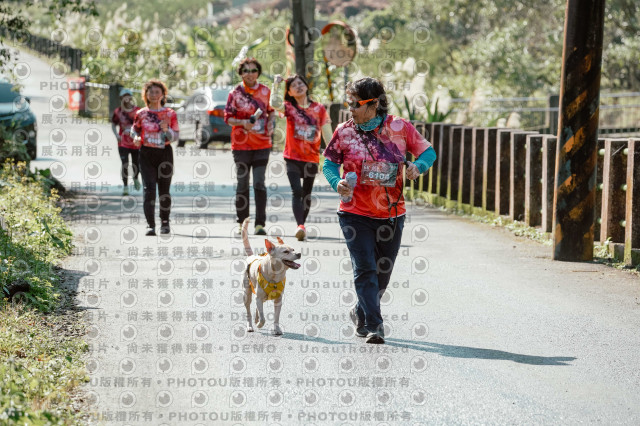 2025宜蘭櫻花溫泉系列路跑-員山燈篙/大同牛鬥