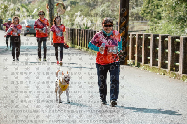 2025宜蘭櫻花溫泉系列路跑-員山燈篙/大同牛鬥