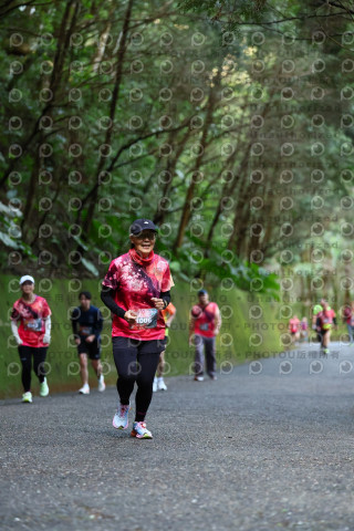 2025宜蘭櫻花溫泉系列路跑-員山燈篙/大同牛鬥